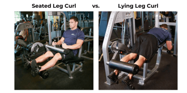 Seated-Leg-Curl-Machine