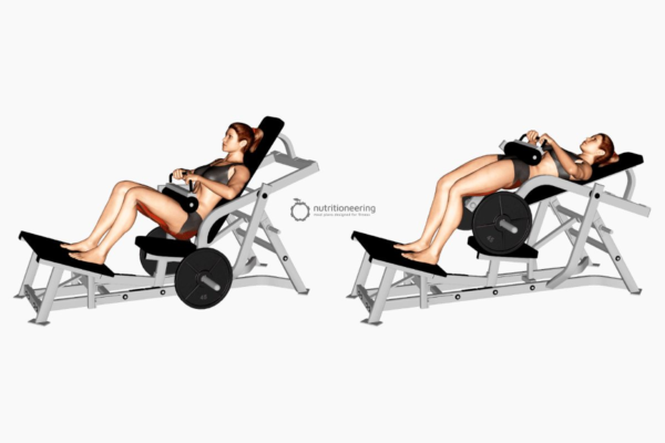 How-to-Use-the-Hip-Thrust-Machine-Correctly