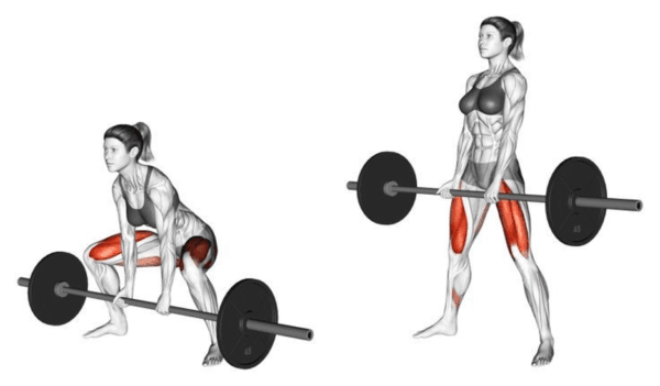 Sumo-Deadlift-Alternative