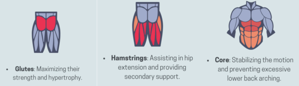 The-Benefits-of-Hip-Thrusts-1